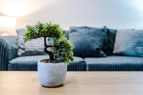 Modern 1-BR Apartment with Free Wi-Fi and Parking Vacation rental in Warrington