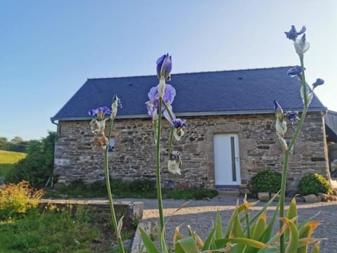 Gîte L'hermine Curieuse Vacation rental in Finistere