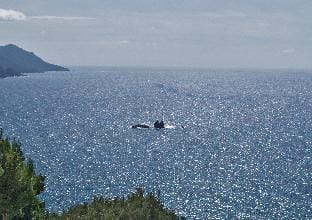 Studio Apartments with large swimming pool and Sea view at Pelekas Beach, Corfu Apartment in Corfu, Greece