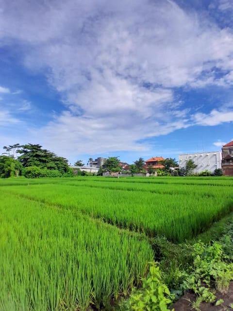 Bali Riana Villa Vacation rental in Sukawati