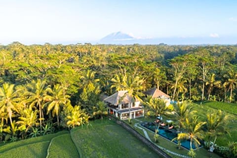 Peaceful 3 BR Private villa Rice field view ZN19 Villa in Tampaksiring