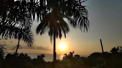 Sairee View Resort Resort in Ko Tao