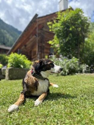Romantikhütte Chalet in Carinthia, Austria