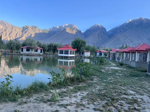 Property view