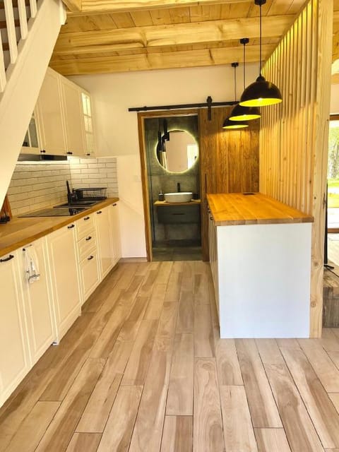 Apartament Wilcza Polana Apartment in Lithuania