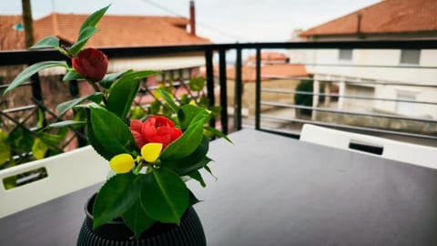 Litohome Litochoro The Gods Oasis Apartment in Litochoro