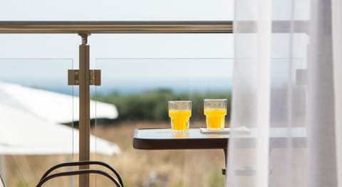 Aetherion Studios & Suites Apartment hotel in Halkidiki