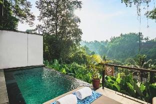 Canary 1 BR Valley View Private Pool Villa Y070 Villa in Ubud