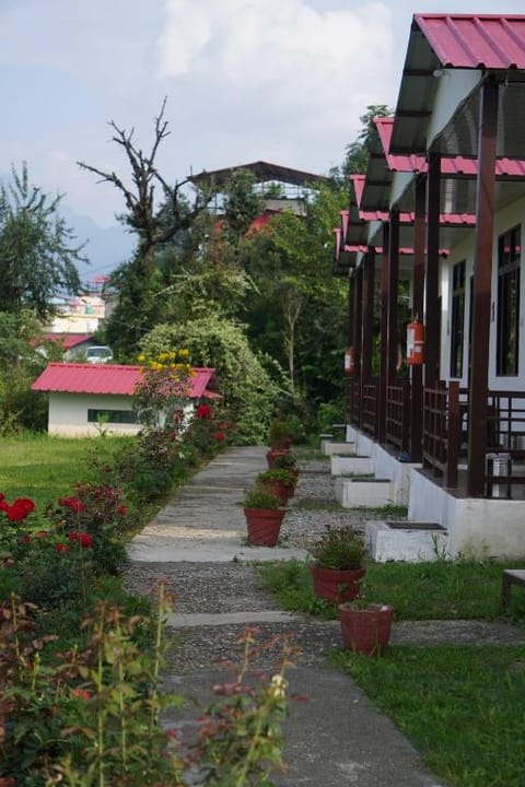 Property view