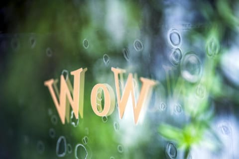 WoW Bed and Breakfast in Brussels