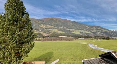 Chalet in Sulzau near Wildkogel Ski Arena Apartment in Salzburgerland