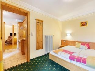 Studio in Saalbach near Ski Slopes Apartment in Salzburgerland