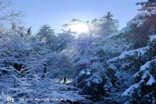 Chalet in the woods with Nordic bath Vacation rental in Manhay