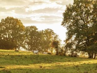 Holiday Home in Vitry-Lache near Lake Vacation rental in Bourgogne-Franche-Comté