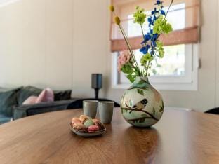 Luxury chalet near Ouddorp with garden Vacation rental in South Holland (province)