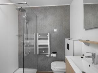 Tiny House in Scharendijke near North Sea Beach Vacation rental in Scharendijke