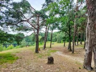 Beachside Villa  Sauna Villa in Zeeland, Netherlands