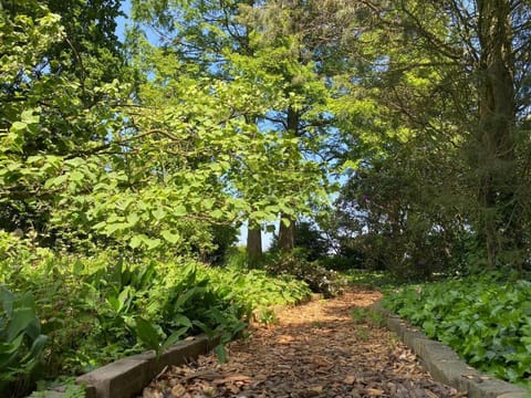 Village House in Leende near Star Restaurant Vacation rental in North Brabant (province)