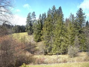 Retreat in Fussen, Allgau Vacation rental in Fussen