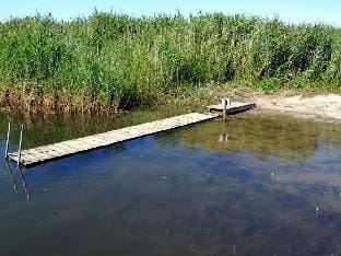 Holiday home Crane Coast Apartment in Zingst