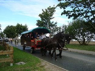 Yellow - Peters Modern Retreat Vacation rental in Mecklenburg-Vorpommern, Germany