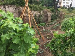 Uitzicht op de Pellenz Vacation rental in Andernach