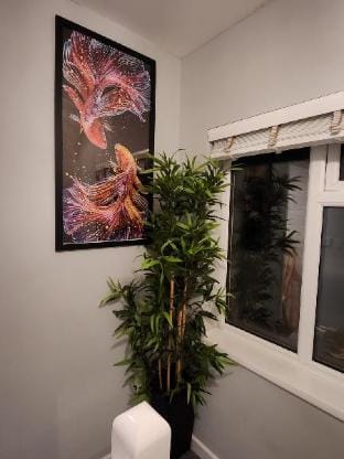 Dale House Vacation rental in Coventry