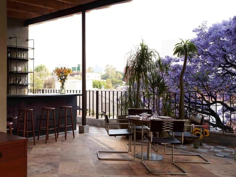 Hotel Dama Hotel in Mexico City