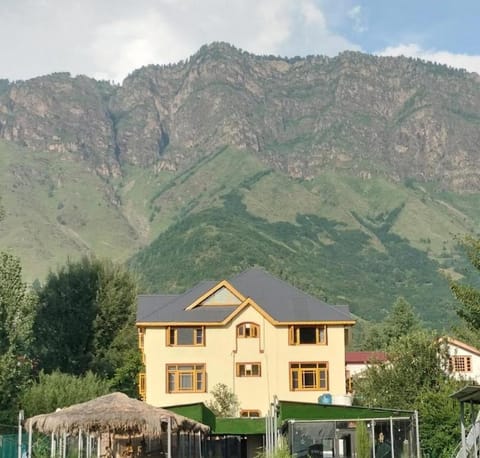 Property view