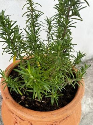 Travelers  Hikers Delight House On Way To Sougia Vacation rental in Crete