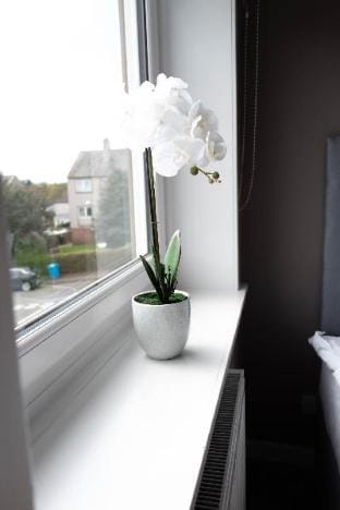 Burns House Vacation rental in Livingston