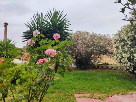 Sea & sun view Hotel in Corfu, Greece