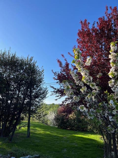 Tosa Welcome Vacation rental in Imola