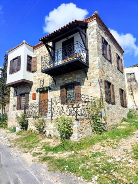 Puli Pansiyon Apartment in Aydın Province