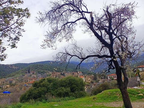 Puli Pansiyon Apartment in Aydın Province