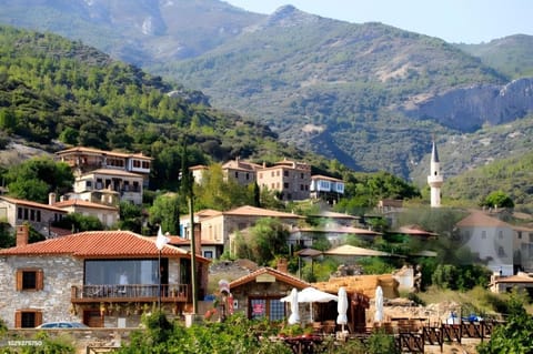 Puli Pansiyon Apartment in Aydın Province