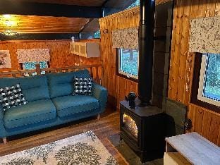 11 Tan-y-coed Woodland Lodge Vacation rental in Wales