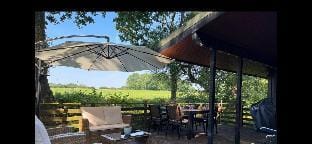 11 Tan-y-coed Woodland Lodge Vacation rental in Wales