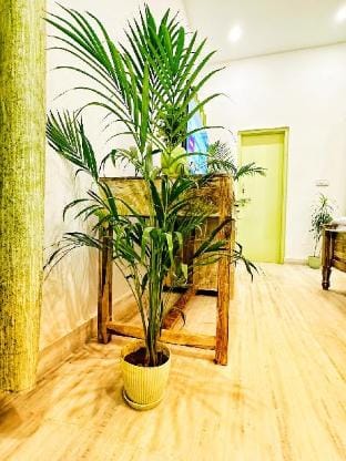 The 2 Tree Stylish Studio Suite in Heart of City Vacation rental in Jaipur