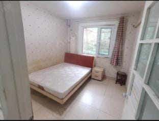 中关村，能看到清华大学的民宿，与中国科学院大学一墙之隔，出门既有院士，又有科学家，高知邻里 Apartment in Beijing