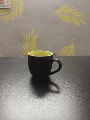 Shree shyam Palace  Apartment in Jaipur