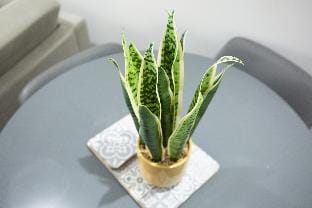 Bridge House | 1-Bed with Parking Apartment in Stratford-upon-Avon