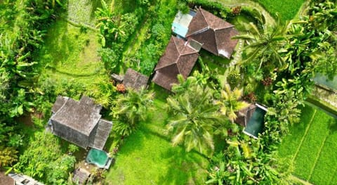 Capital O 94012 Dewa Jati House Hotel in Tampaksiring