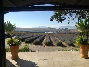 Casa Bianca Vacation rental in Cape Town