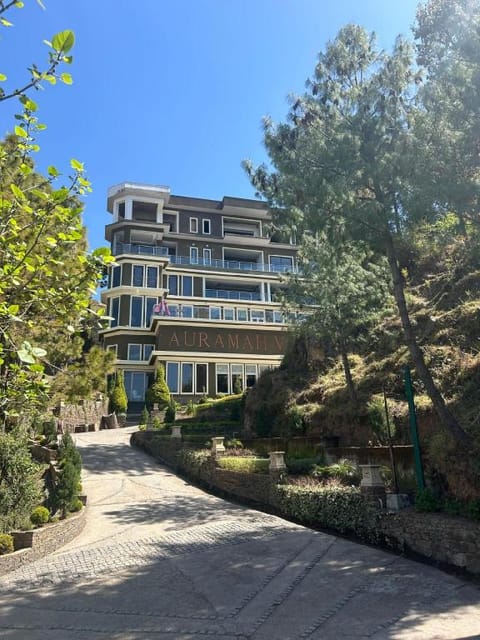 Property view