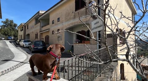 DoMu’ Apartment in Sardinia