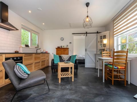 Holiday Home in Zeeland with Romantic Terrace Apartment in Zeeland, Netherlands