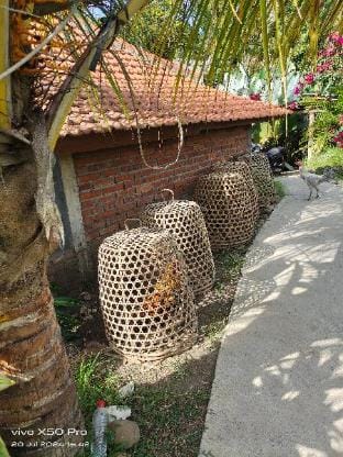 Pondok Pengaringan Loon Vacation rental in Buleleng