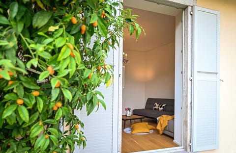 One  Only Central Suite Garden Apartment in Lugano