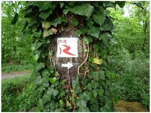 Schmiedegasschen Comfortable holiday residence Vacation rental in Boppard